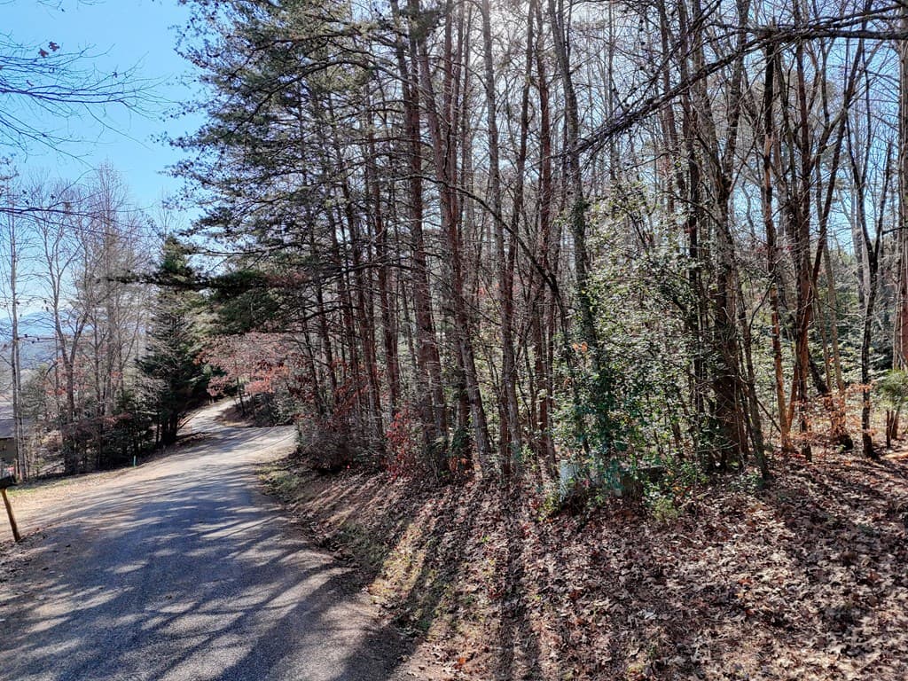 Lot 5 Tombstone Drive, Blairsville GA 30512 - Photo