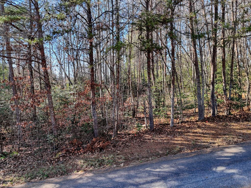 Lot 5 Tombstone Drive, Blairsville GA 30512 - Photo