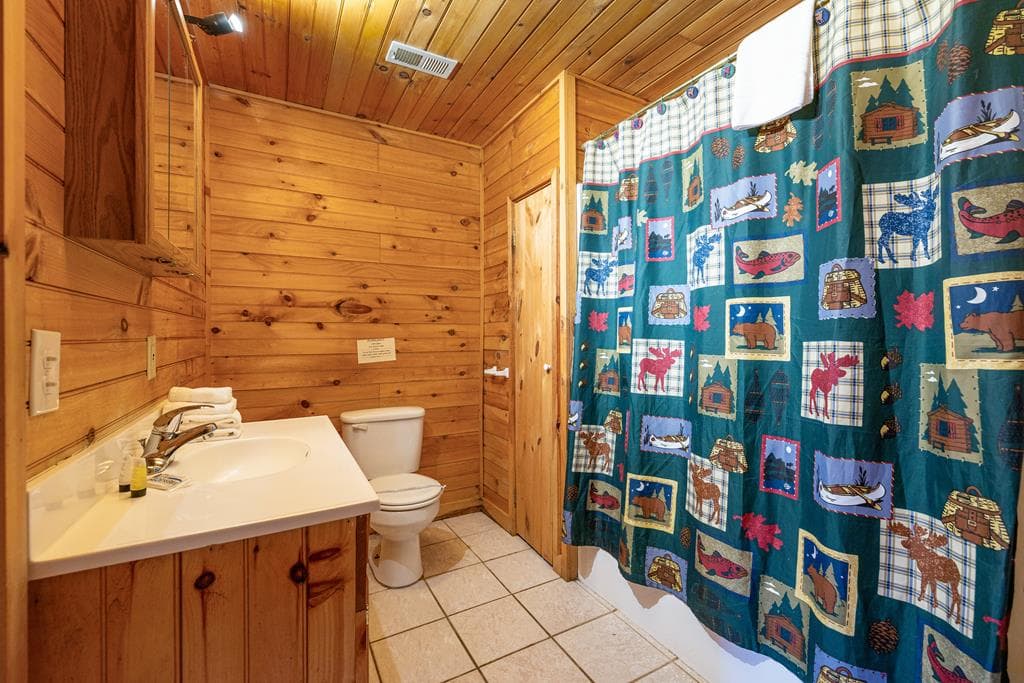 101 Moonshine Mountain Road, Mineral Bluff GA 30559 - Photo