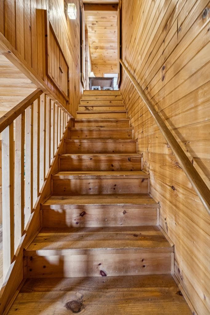 101 Moonshine Mountain Road, Mineral Bluff GA 30559 - Photo