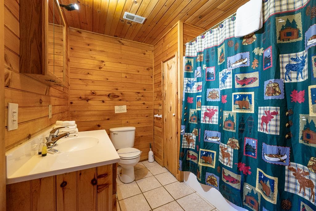 101 Moonshine Mountain Road, Mineral Bluff GA 30559 - Photo