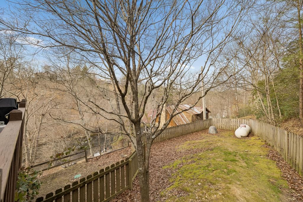 101 Moonshine Mountain Road, Mineral Bluff GA 30559 - Photo