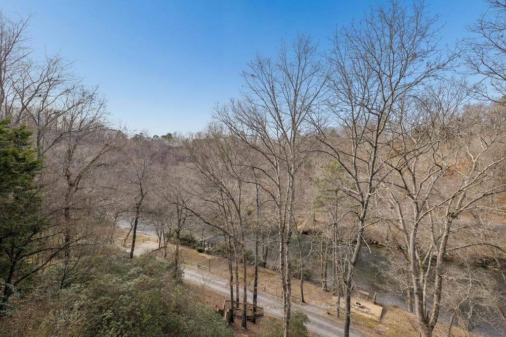 101 Moonshine Mountain Road, Mineral Bluff GA 30559 - Photo