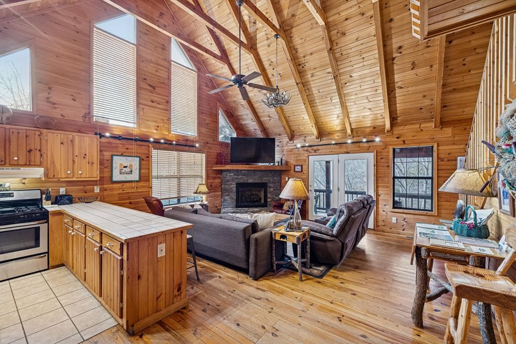 101 Moonshine Mountain Road, Mineral Bluff GA 30559 - Photo