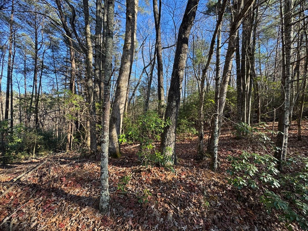 Lot J260 Pine Ridge Road, Ellijay GA 30536 - Photo