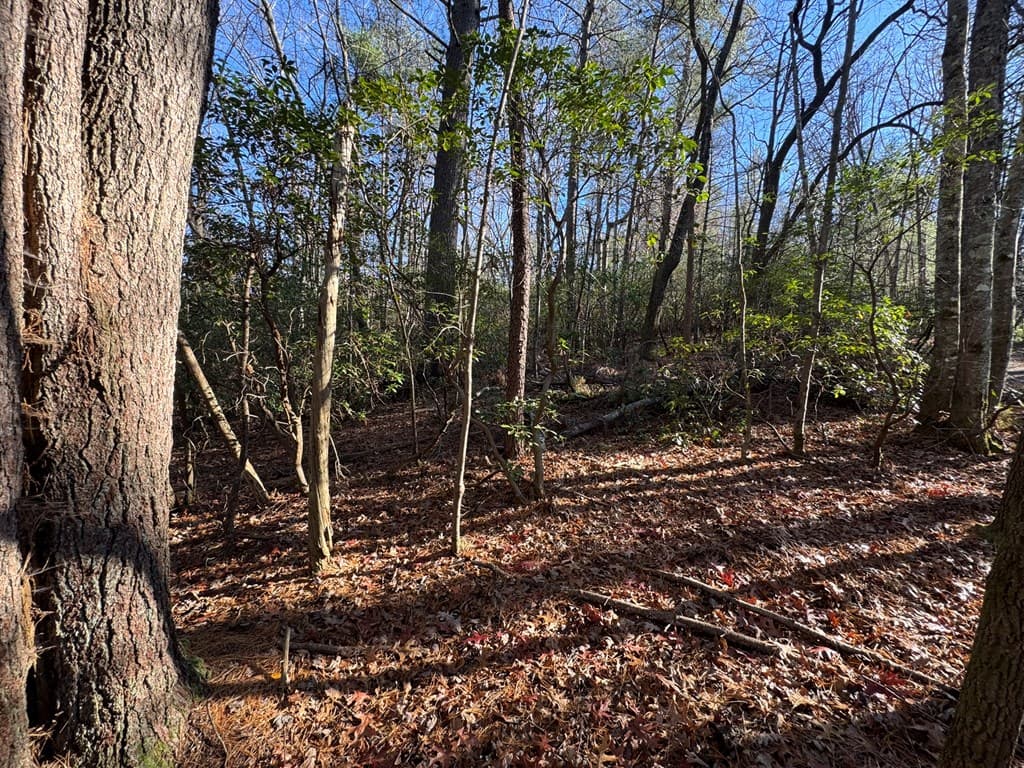 Lot J260 Pine Ridge Road, Ellijay GA 30536 - Photo