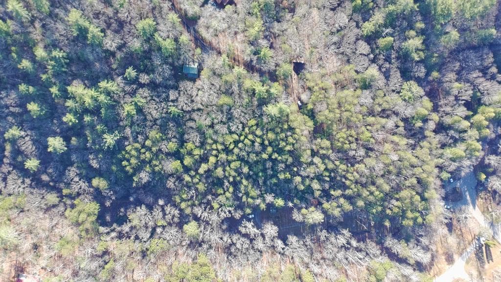 Lot J260 Pine Ridge Road, Ellijay GA 30536 - Photo