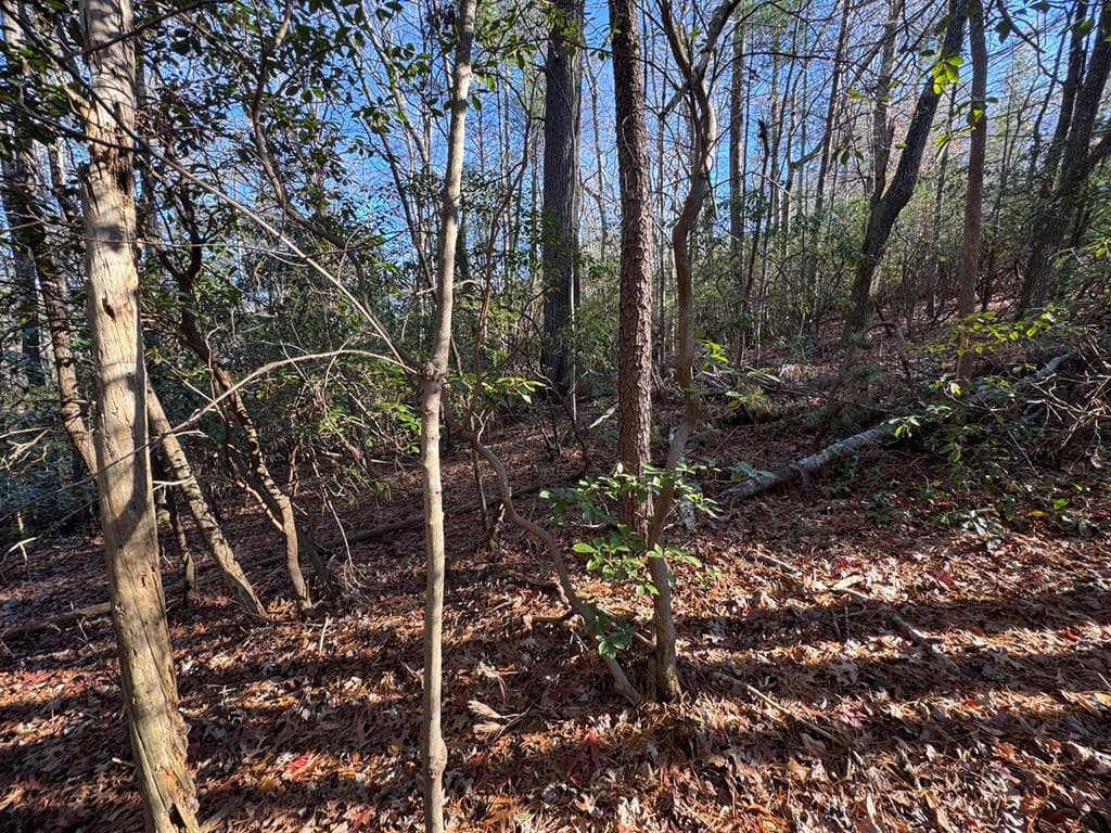 Lot J260 Pine Ridge Road, Ellijay GA 30536 - Photo