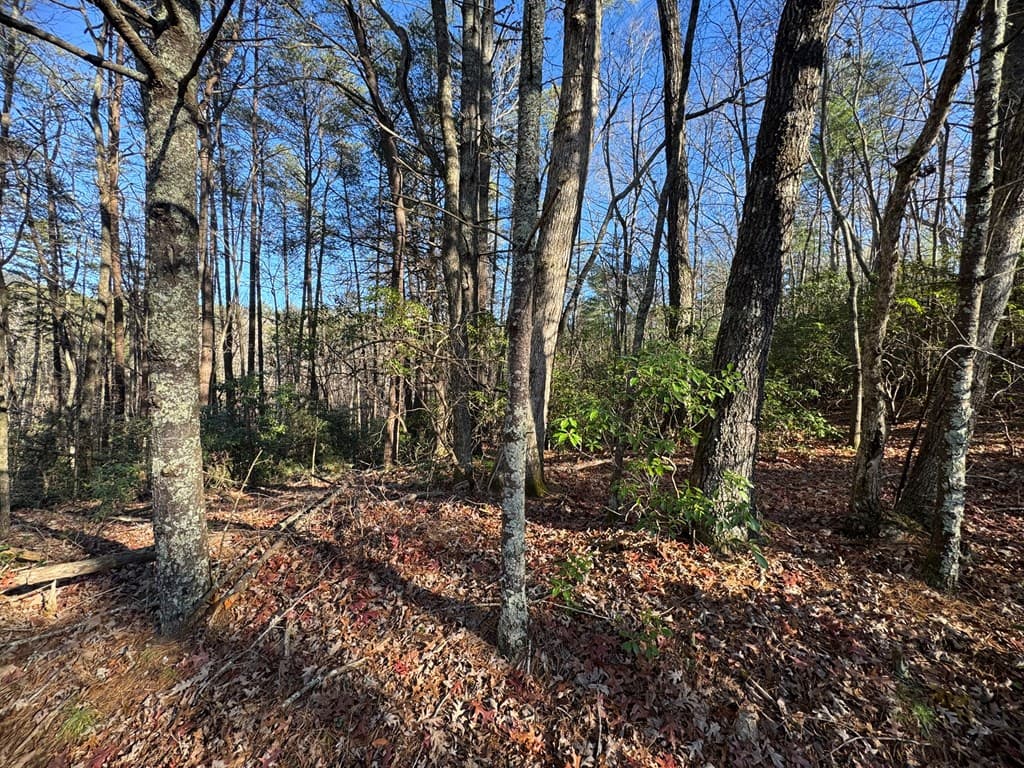 Lot J260 Pine Ridge Road, Ellijay GA 30536 - Photo