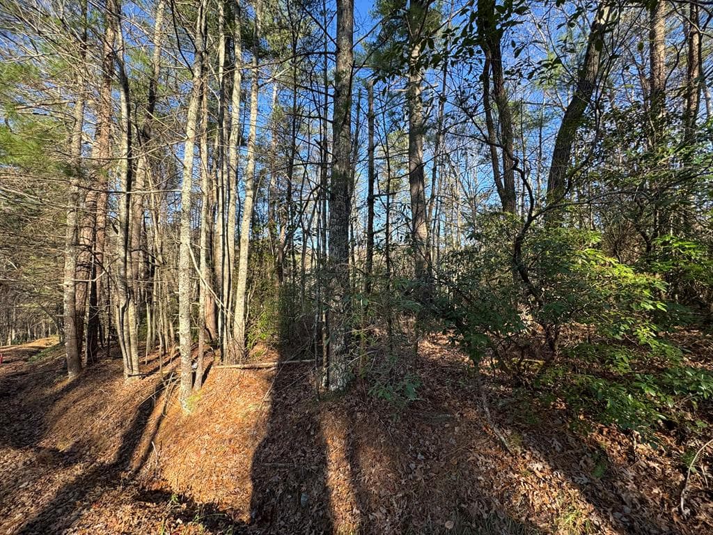 Lot J260 Pine Ridge Road, Ellijay GA 30536 - Primary photo