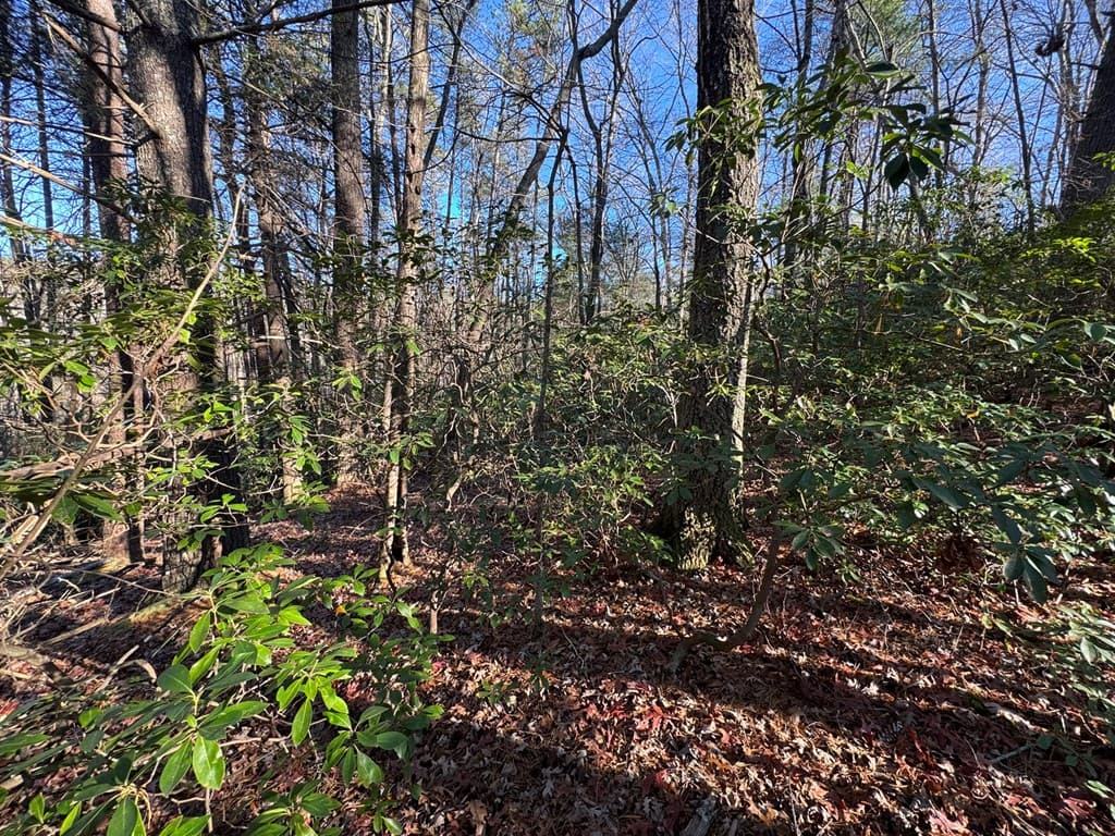 Lot J260 Pine Ridge Road, Ellijay GA 30536 - Photo