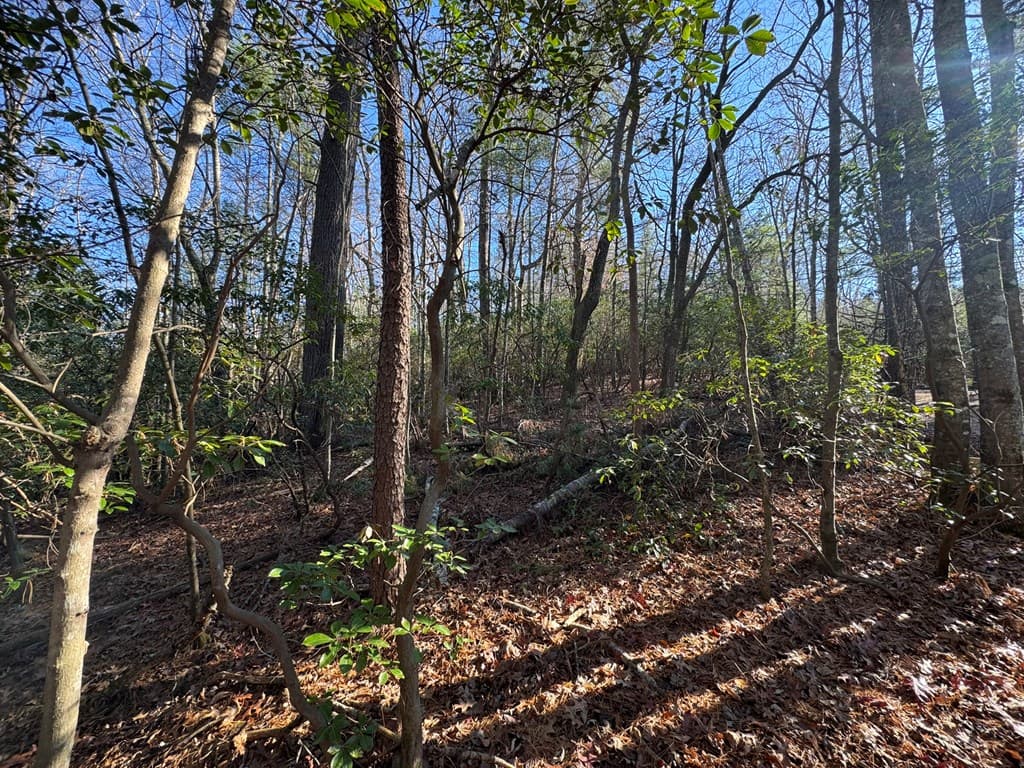 Lot J260 Pine Ridge Road, Ellijay GA 30536 - Photo