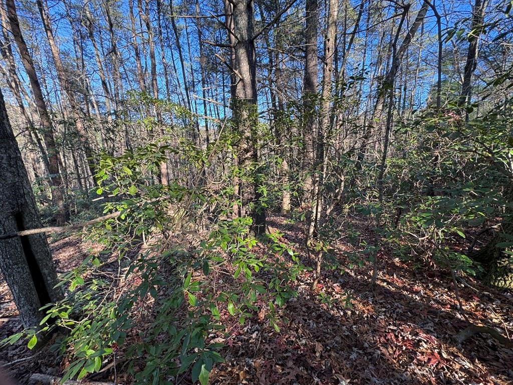 Lot J260 Pine Ridge Road, Ellijay GA 30536 - Photo
