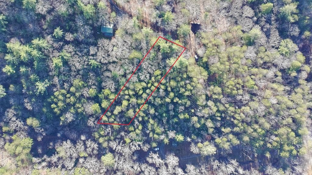 Lot J260 Pine Ridge Road, Ellijay GA 30536 - Photo