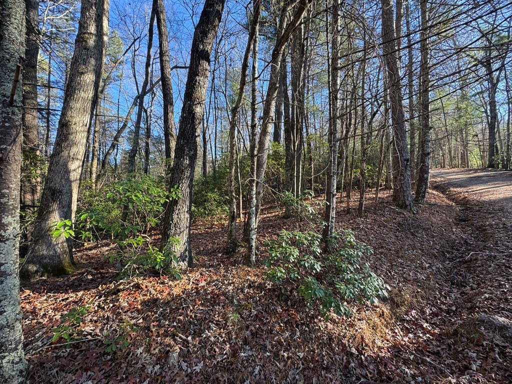 Lot J260 Pine Ridge Road, Ellijay GA 30536 - Photo