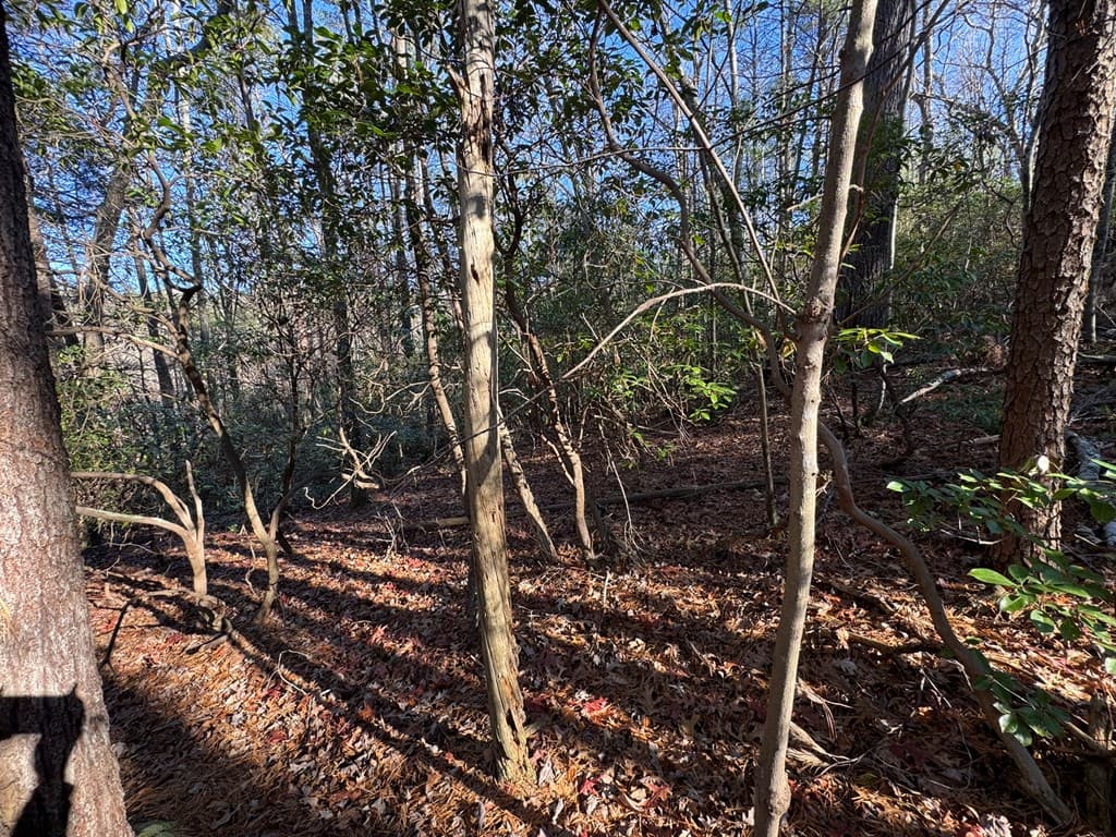 Lot J260 Pine Ridge Road, Ellijay GA 30536 - Photo