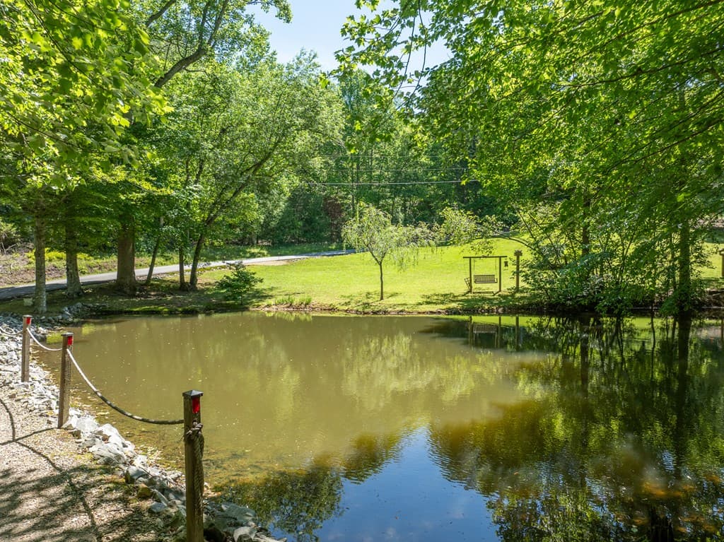724 Fish Cove Road, Blairsville GA 30512 - Photo