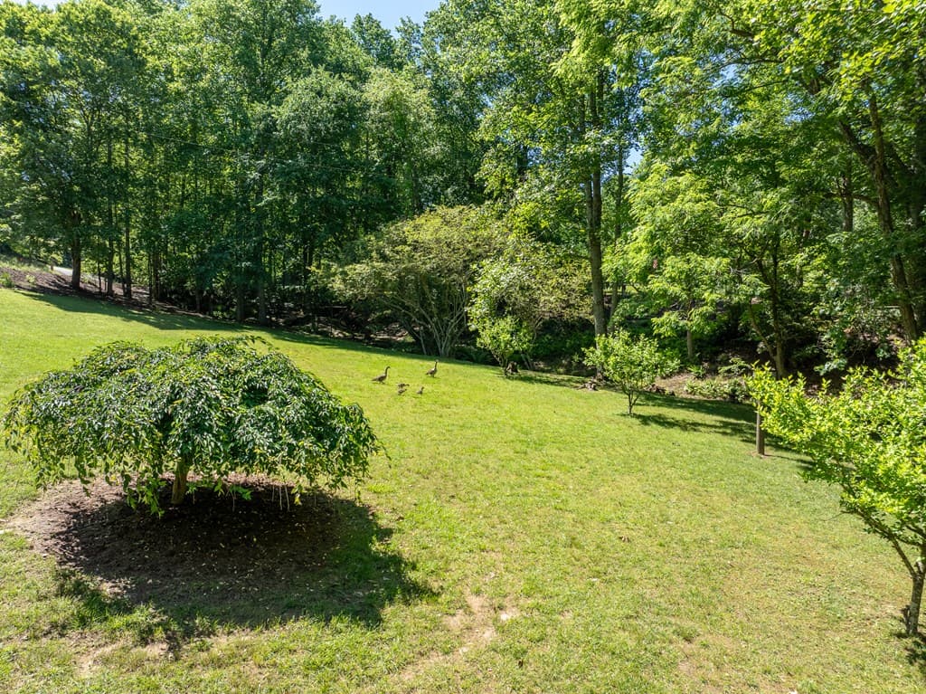 724 Fish Cove Road, Blairsville GA 30512 - Photo