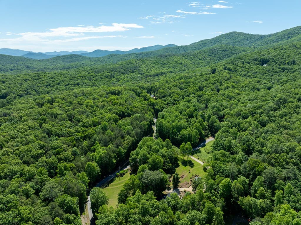 724 Fish Cove Road, Blairsville GA 30512 - Photo