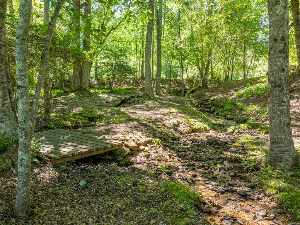 724 Fish Cove Road, Blairsville GA 30512 - Photo