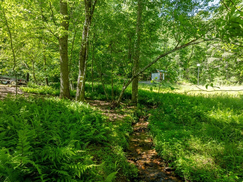 724 Fish Cove Road, Blairsville GA 30512 - Photo