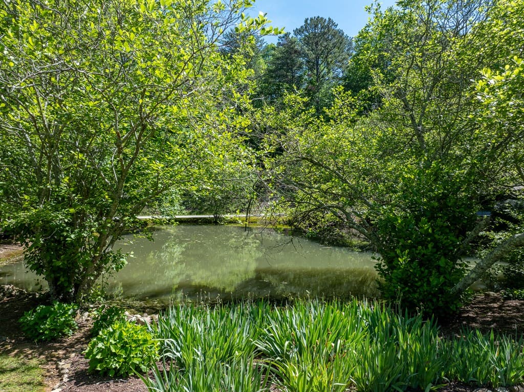 724 Fish Cove Road, Blairsville GA 30512 - Photo