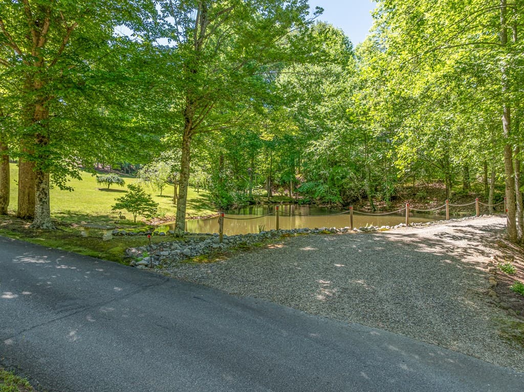 724 Fish Cove Road, Blairsville GA 30512 - Photo