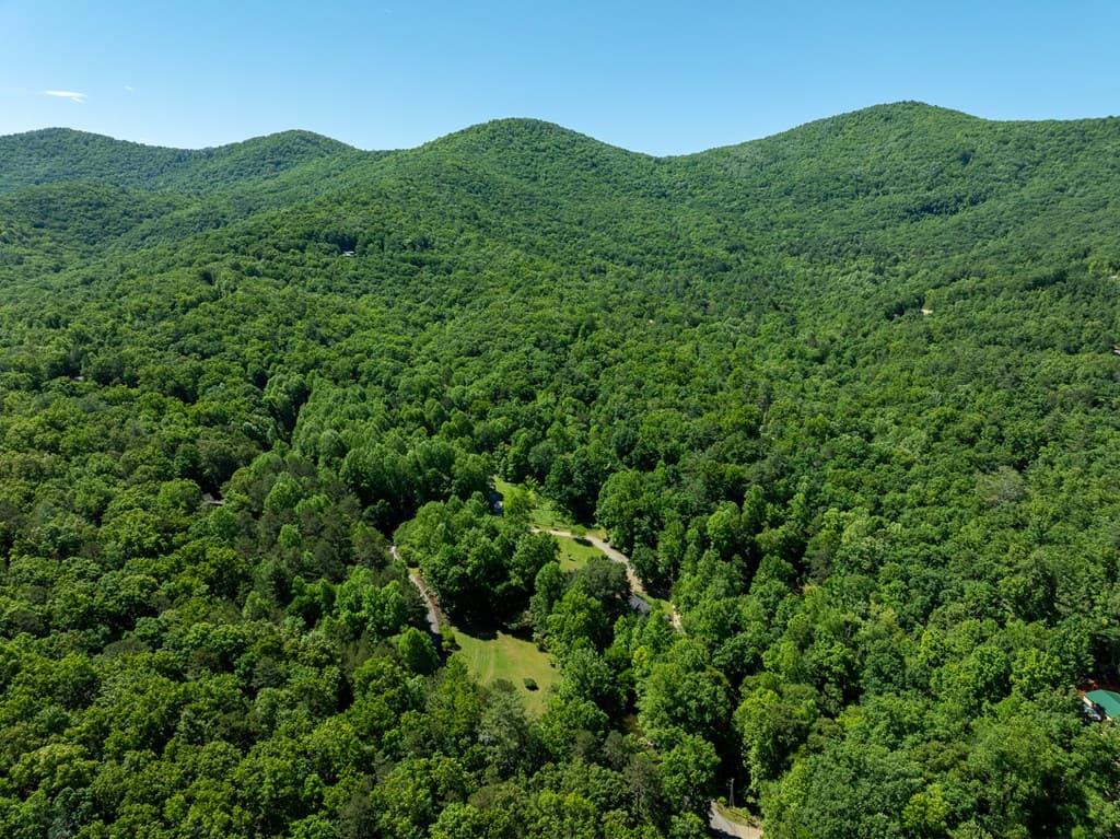 724 Fish Cove Road, Blairsville GA 30512 - Photo
