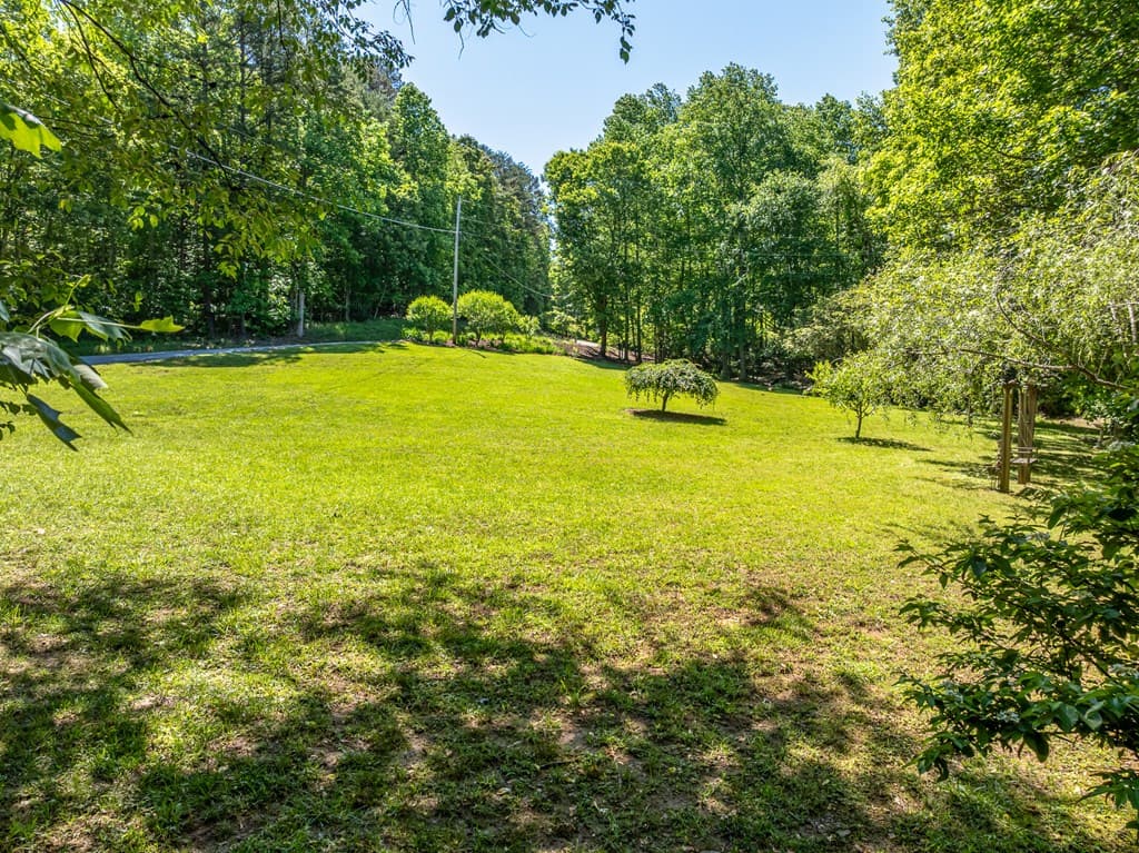 724 Fish Cove Road, Blairsville GA 30512 - Photo