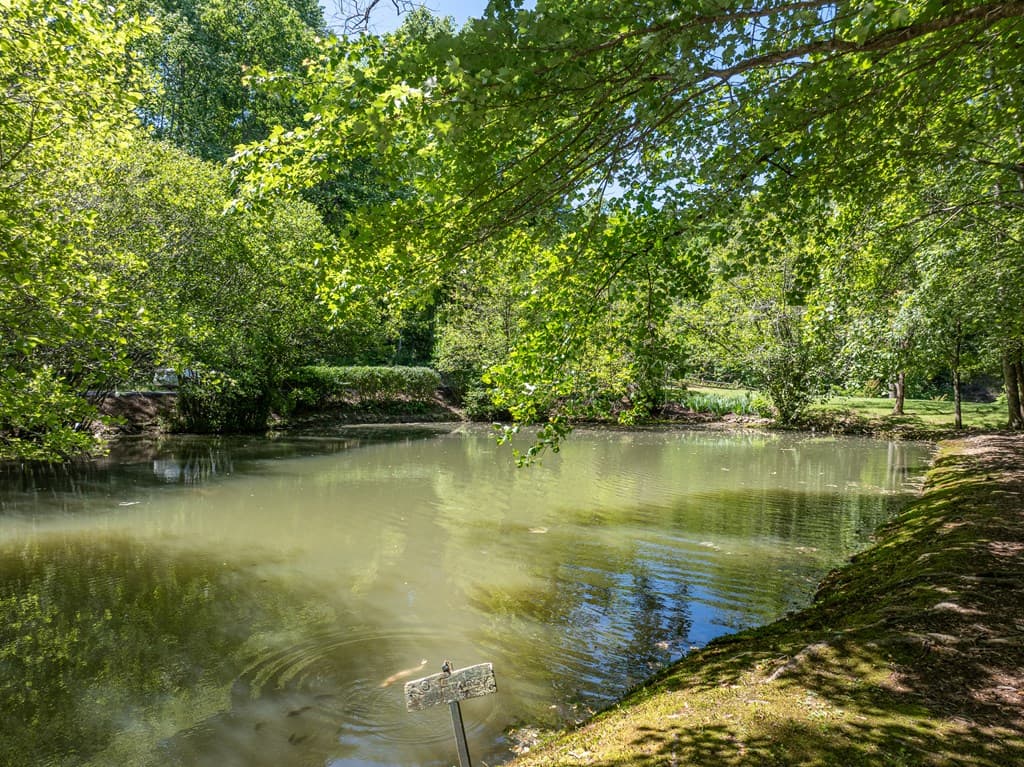 724 Fish Cove Road, Blairsville GA 30512 - Photo