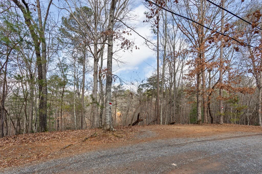0 Omen Court, Ellijay GA 30540 - Photo