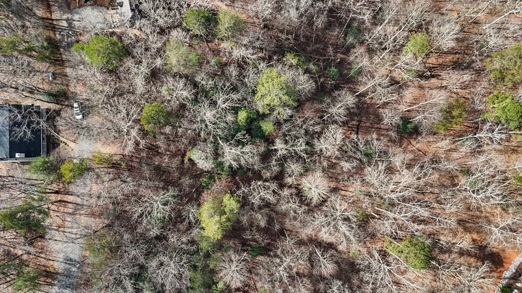 0 Omen Court, Ellijay GA 30540 - Photo
