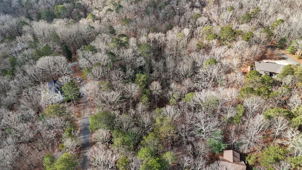 0 Omen Court, Ellijay GA 30540 - Photo