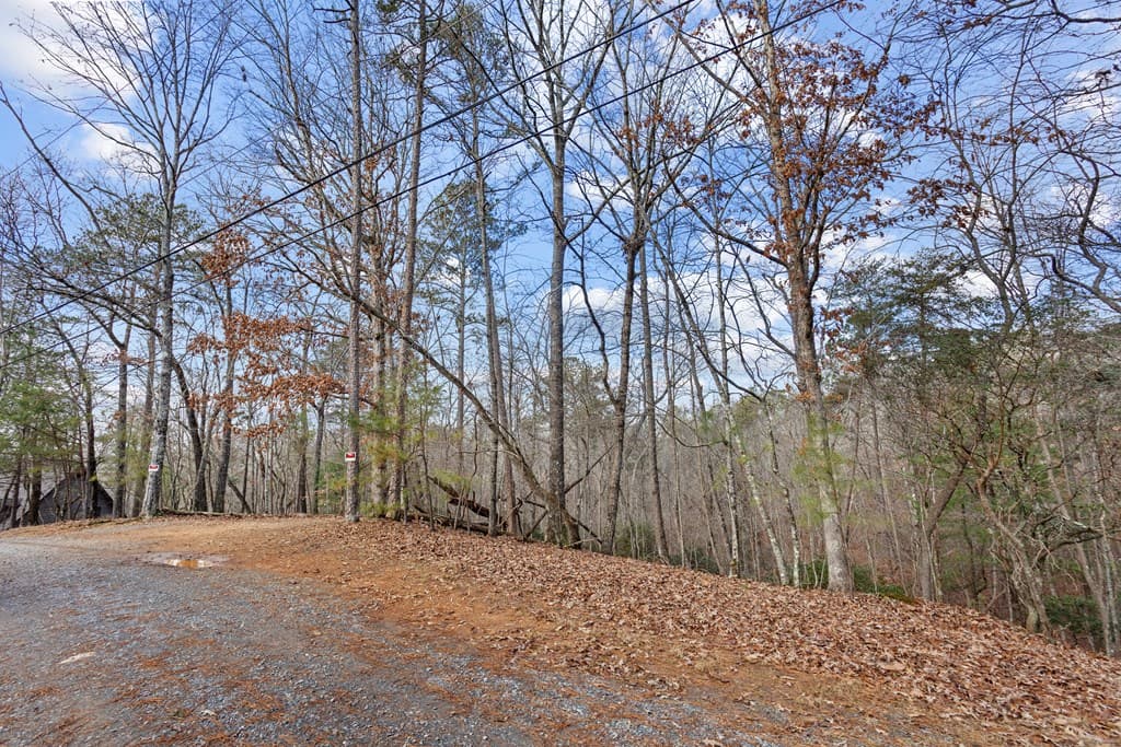 0 Omen Court, Ellijay GA 30540 - Photo