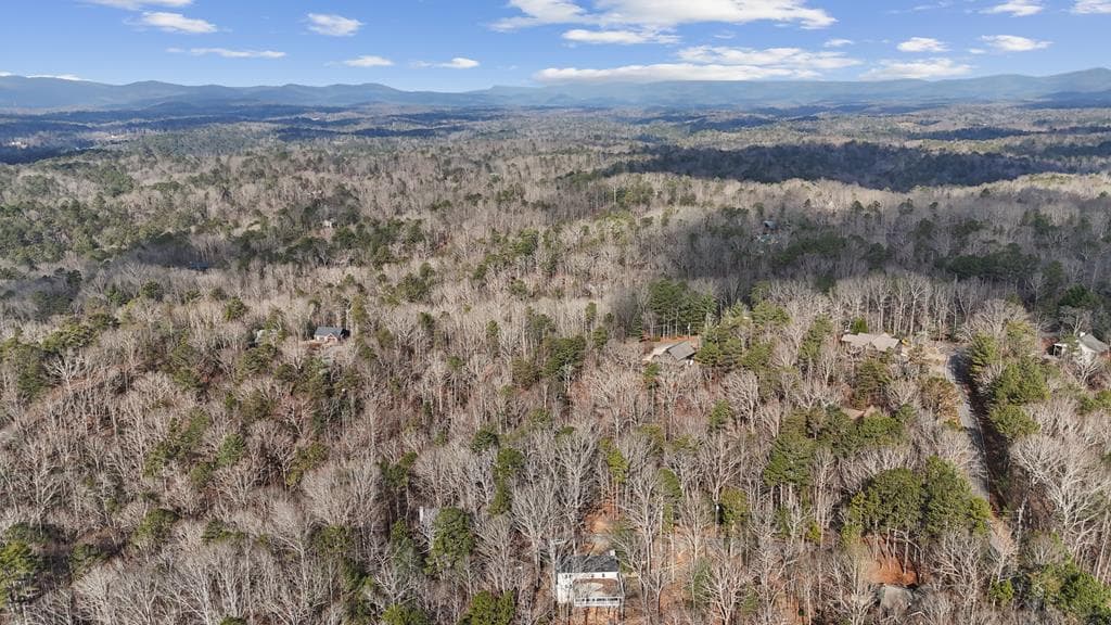 0 Omen Court, Ellijay GA 30540 - Primary photo