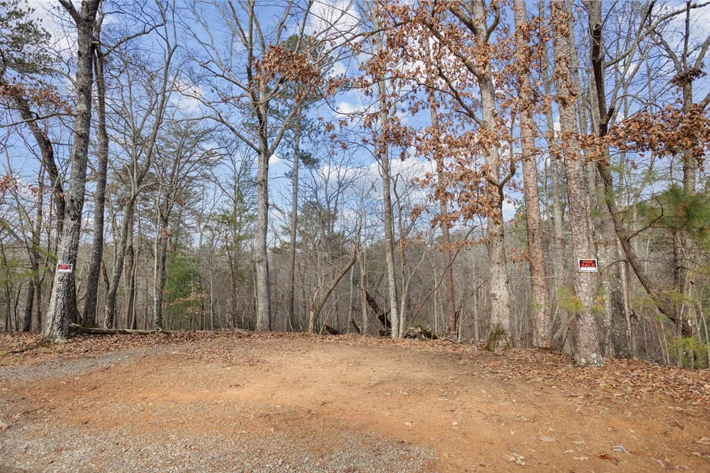 0 Omen Court, Ellijay GA 30540 - Photo