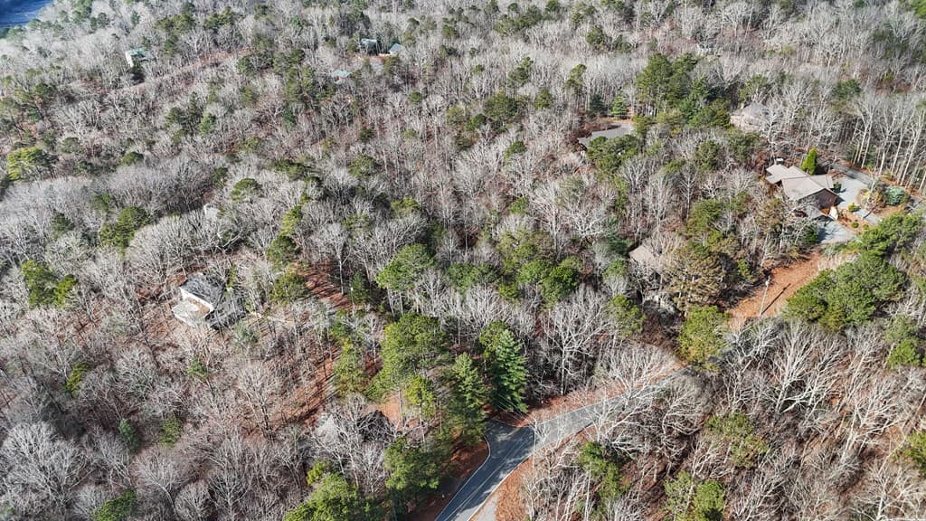 0 Omen Court, Ellijay GA 30540 - Photo