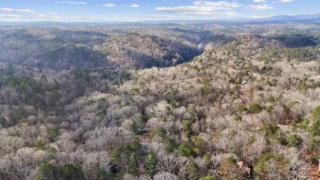 0 Omen Court, Ellijay GA 30540 - Photo