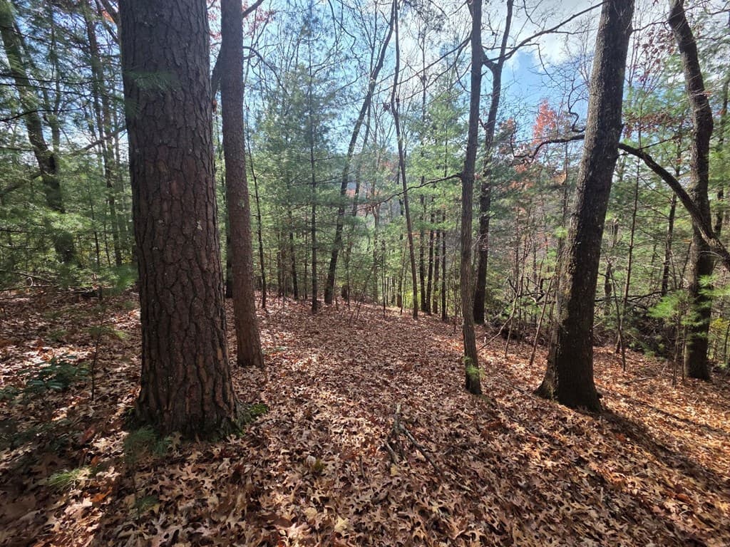Lot 10 Wildcat Creek, Suches GA 30572 - Photo