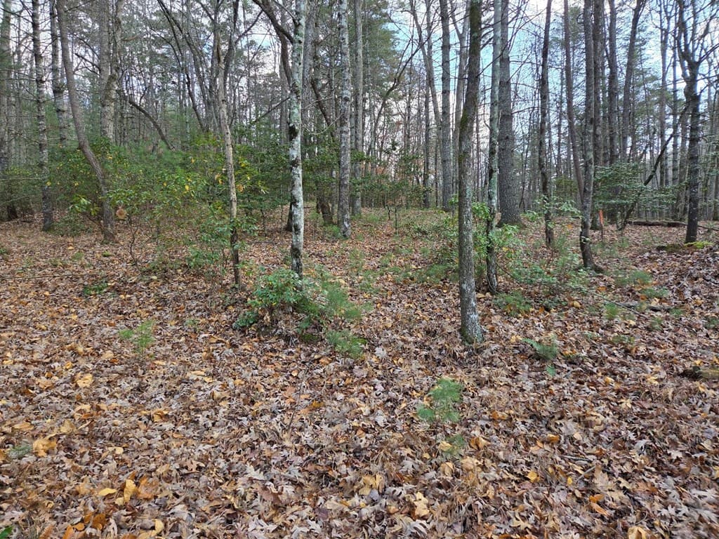 Lot 10 Wildcat Creek, Suches GA 30572 - Photo