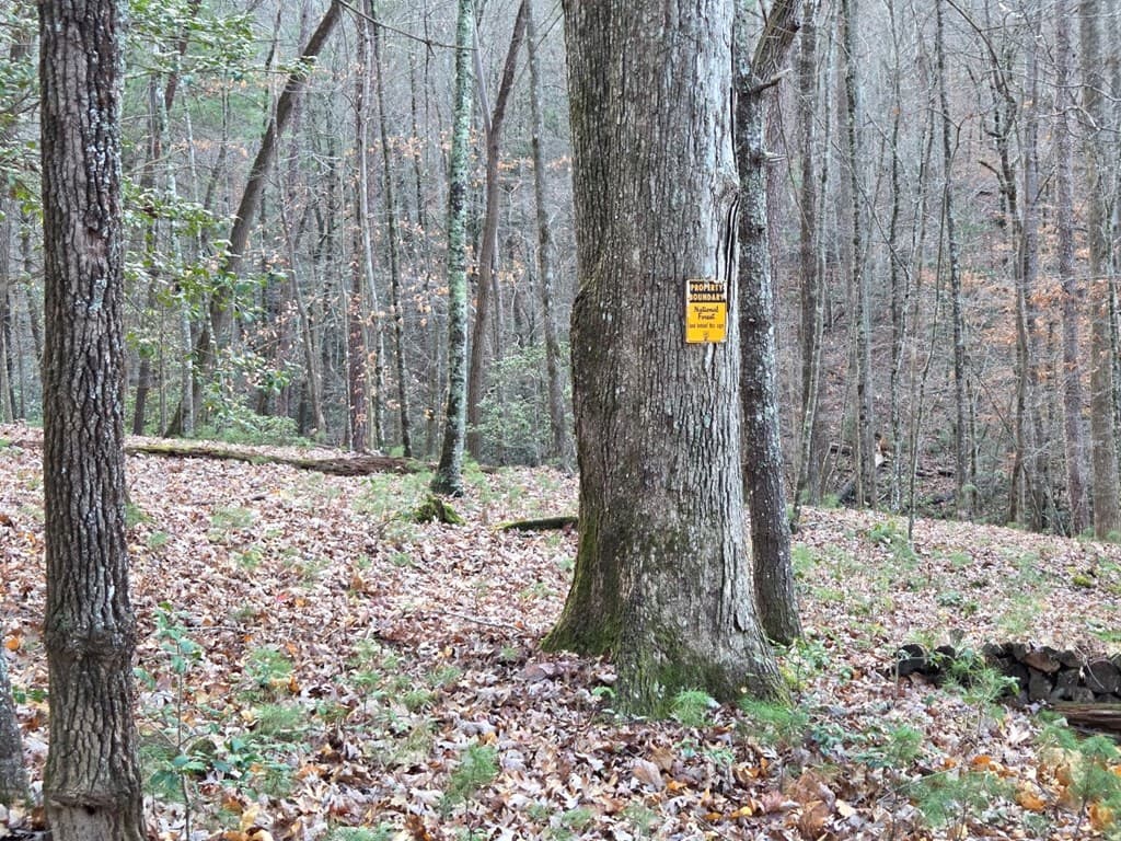 Lot 10 Wildcat Creek, Suches GA 30572 - Photo
