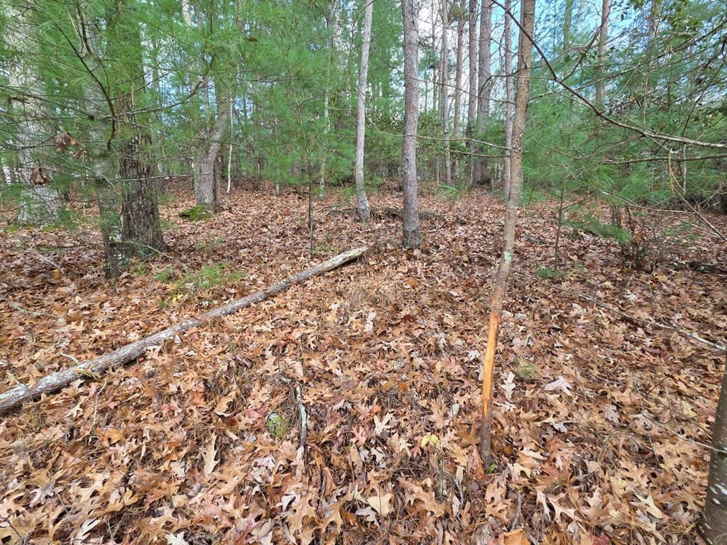 Lot 10 Wildcat Creek, Suches GA 30572 - Photo