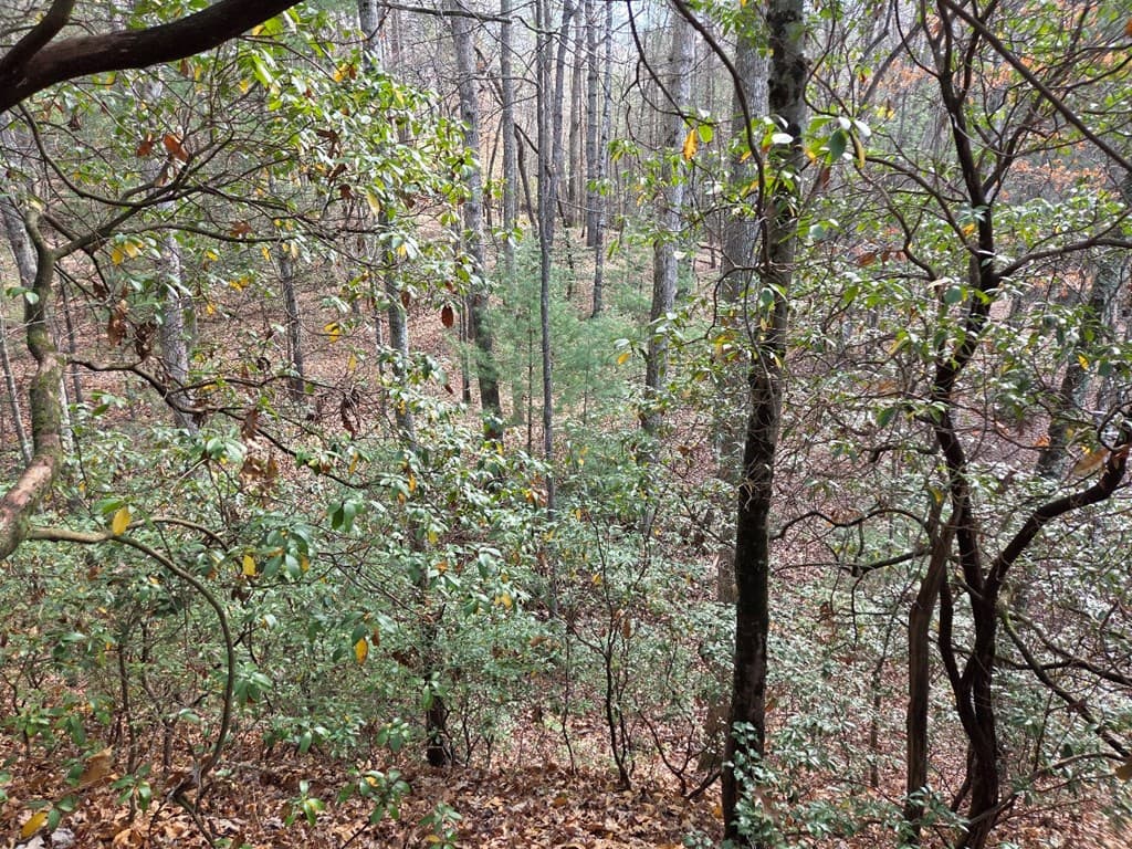 Lot 10 Wildcat Creek, Suches GA 30572 - Photo