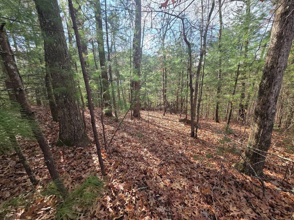 Lot 10 Wildcat Creek, Suches GA 30572 - Photo