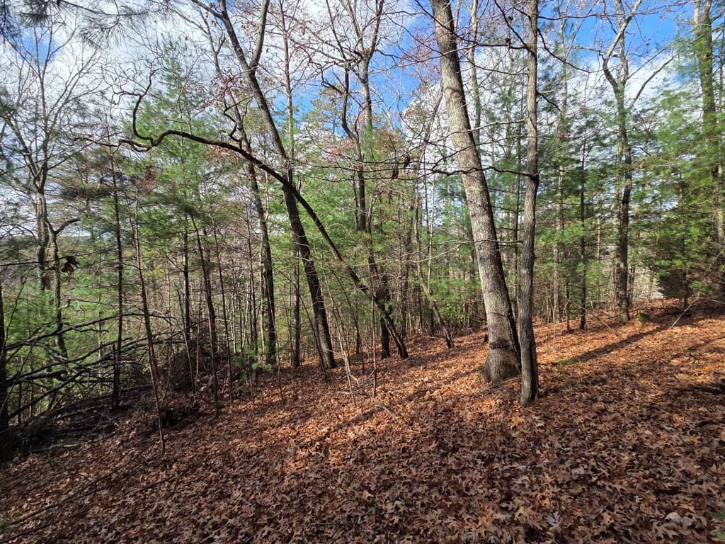 Lot 10 Wildcat Creek, Suches GA 30572 - Photo