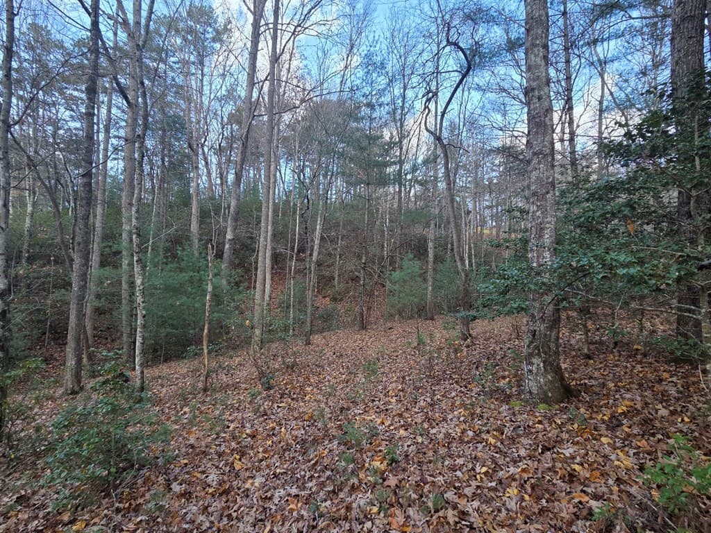 Lot 10 Wildcat Creek, Suches GA 30572 - Photo