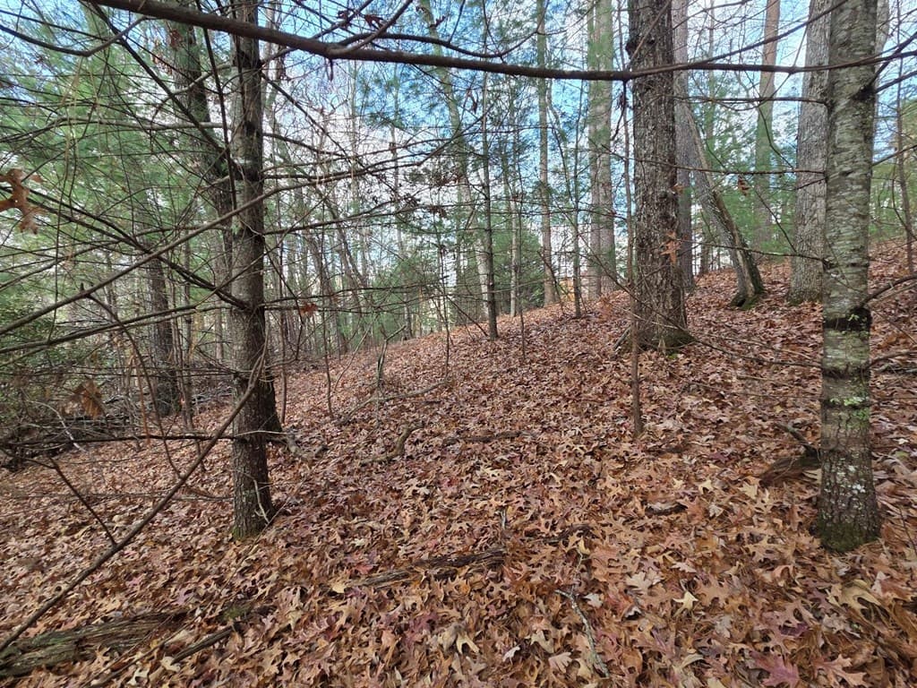 Lot 10 Wildcat Creek, Suches GA 30572 - Photo