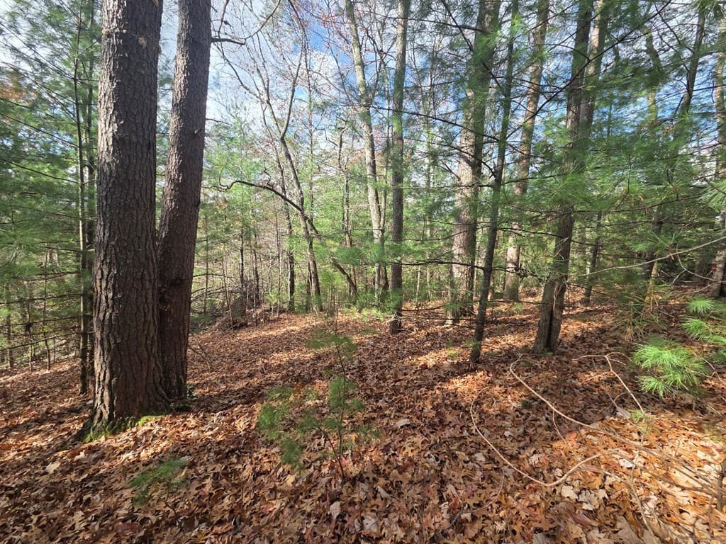 Lot 10 Wildcat Creek, Suches GA 30572 - Photo