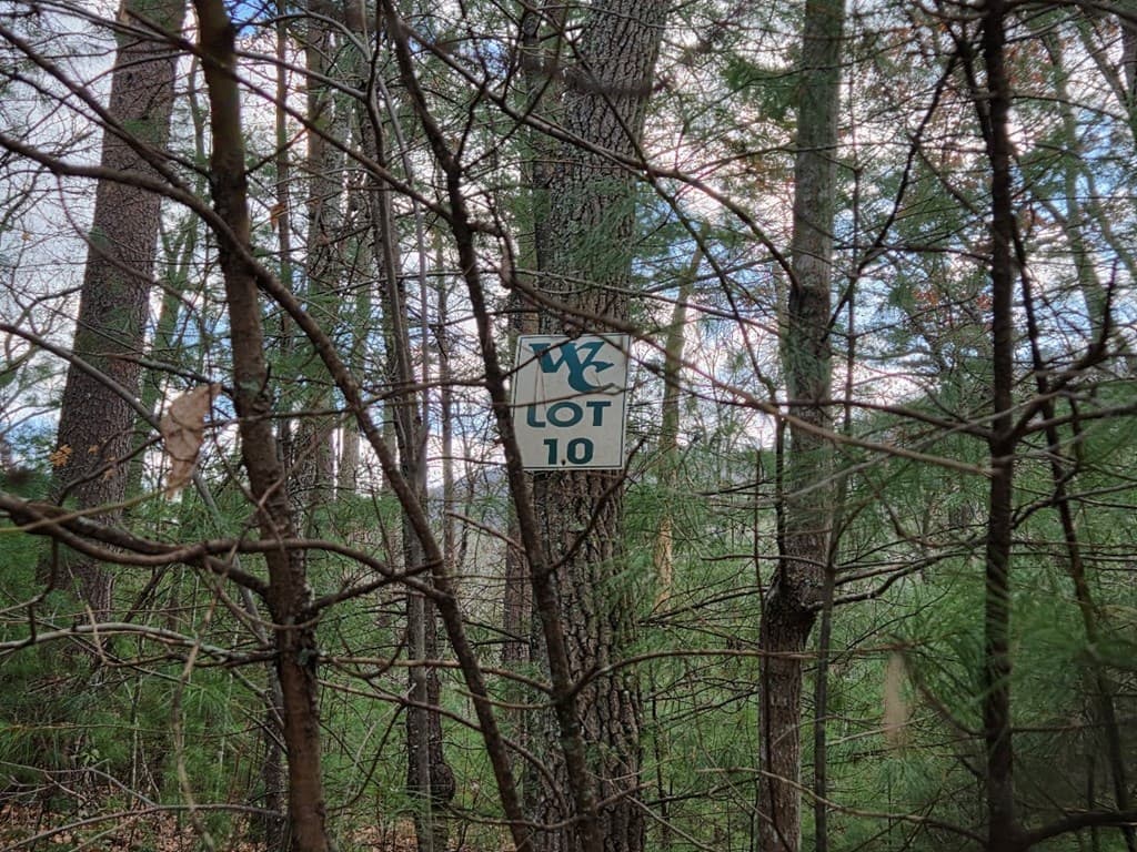 Lot 10 Wildcat Creek, Suches GA 30572 - Photo