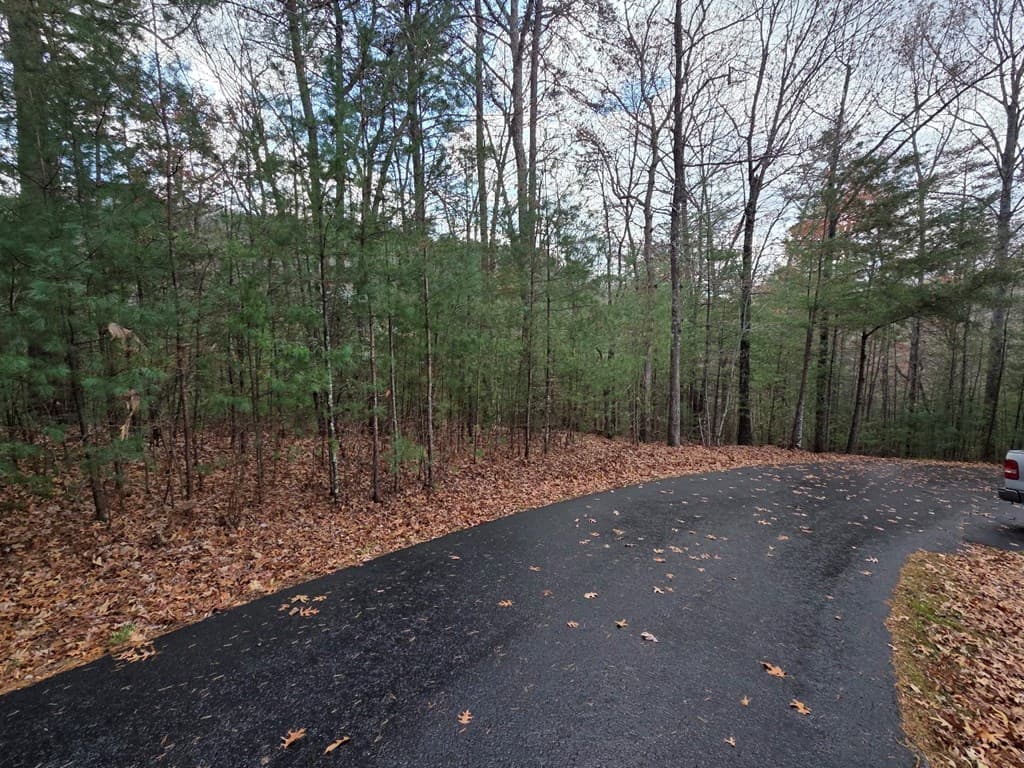 Lot 10 Wildcat Creek, Suches GA 30572 - Photo